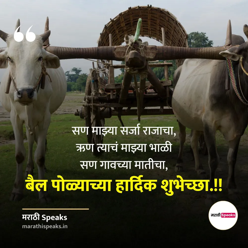 Bail pola shayari in marathi