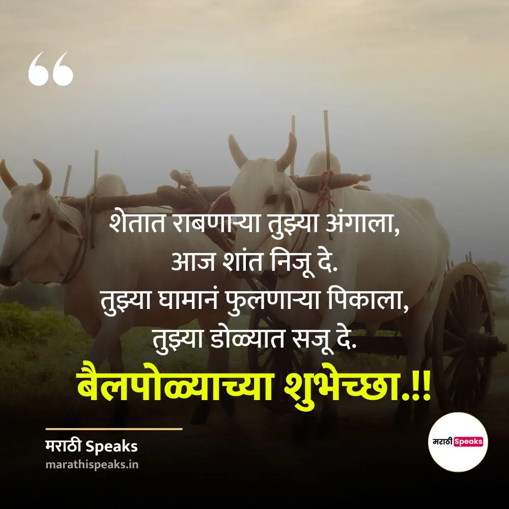 बैल पोळा शुभेच्छा मराठी 